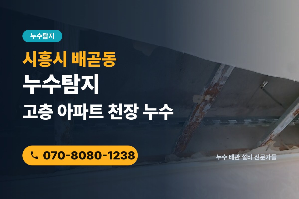 배곧동 누수탐지 전화 상담 070-8080-1238