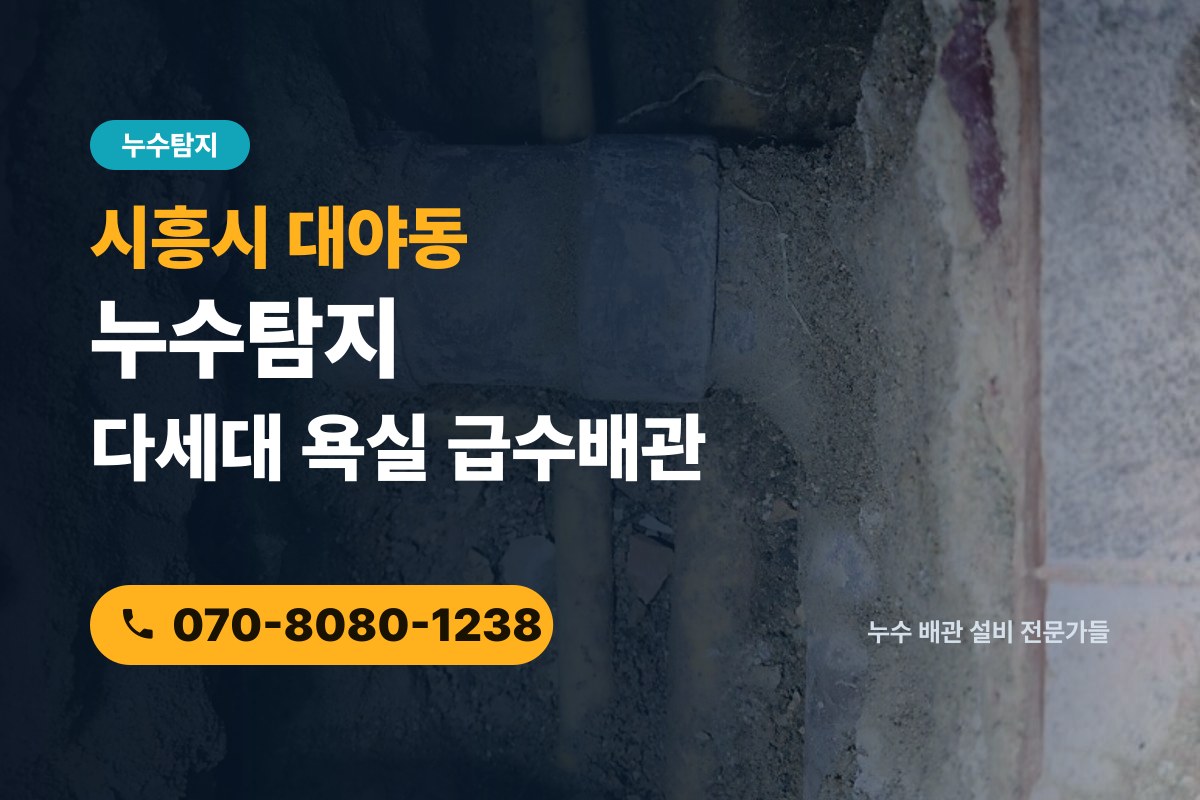 대야동 누수탐지 전화 상담 070-8080-1238
