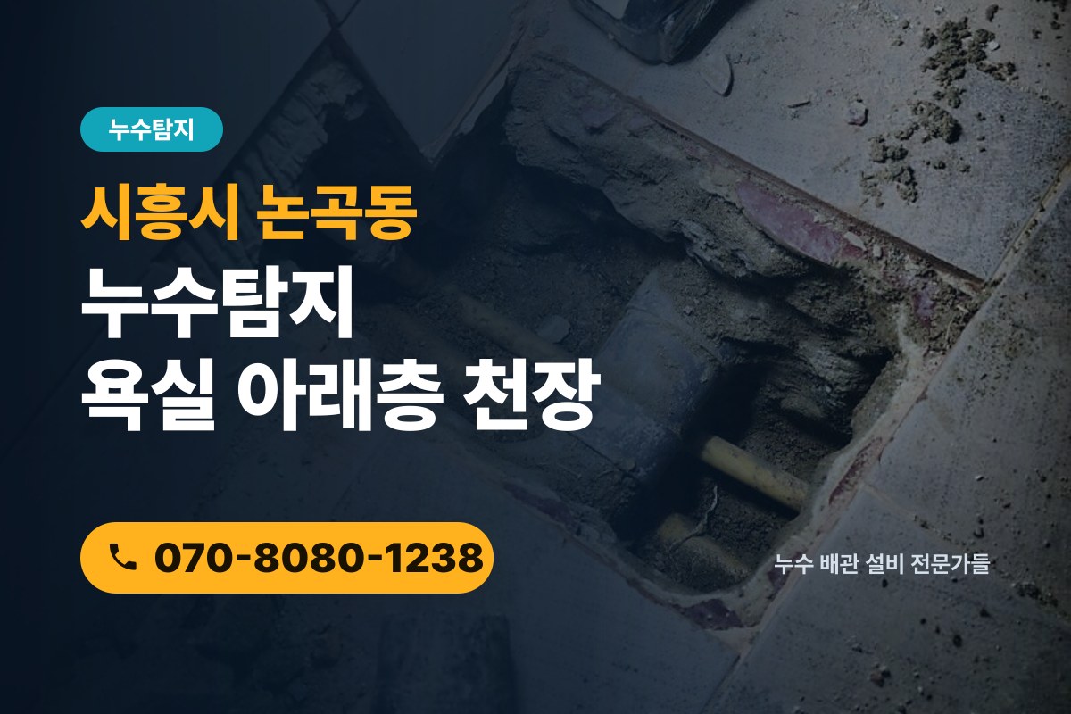 논곡동 누수탐지 전화 상담 070-8080-1238